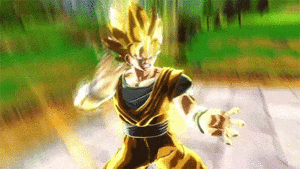 DBZ Budokai Tenkaishi